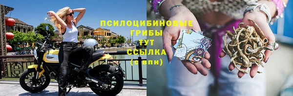ECSTASY Абинск