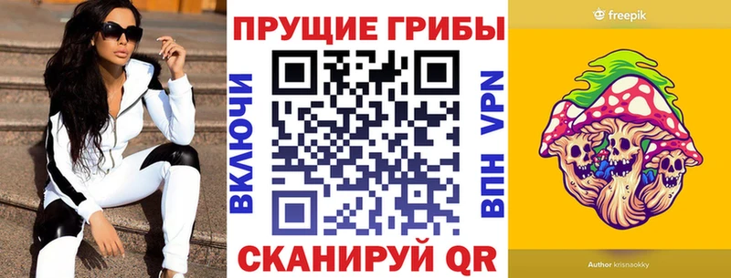 Галлюциногенные грибы Psilocybine cubensis  где купить наркотик  darknet какой сайт  Братск 